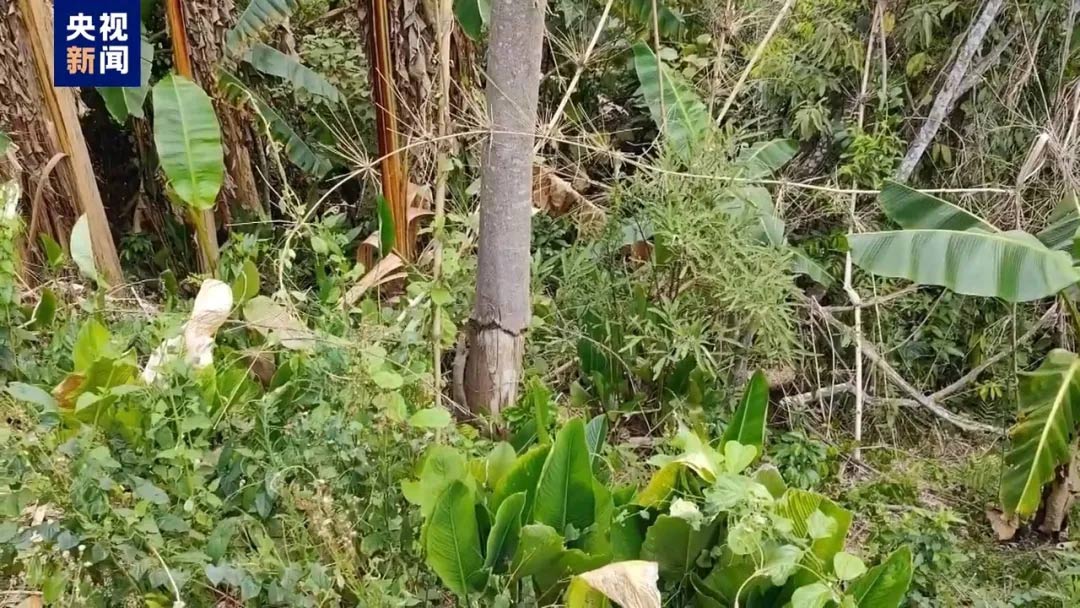 节能水处理设备 / 码头小型化污水处理 / 船舶污水接收 / 污水柜.jpg